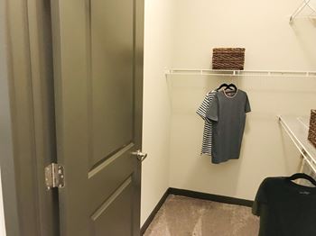 Spacious Walk-In Closets